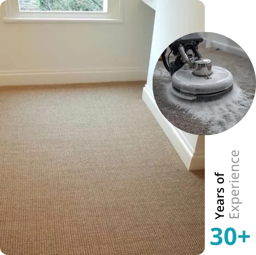 Carpet Cleaning